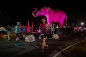 BIB: 
                            <button type="button" onclick="openModal(26552141)" class="btn btn-primary btn-sm float-right btn-popup" data-toggle="modal" data-target=".modal-high-quality">
                        <i class="fas fa-shopping-cart"></i> Add to Cart
                    </button>
                                            <button type="button" onclick="isThisMe(26552141, true)" class="btn btn-success btn-sm float-right btn-popup btn-isme hidden" data-toggle="tooltip" data-placement="bottom" title="นี่คือรูปของคุณใช่ไหม คลิกที่นี่เพื่อเอาเข้าอัลบั้ม">
                        <i class="fas fa-plus"></i> Add to album
                    </button>
                    <button type="button" onclick="isThisMe(26552141, false)" class="btn btn-warning btn-sm float-right btn-popup btn-isnotme hidden">
                        <i class="fas fa-ban"></i> Remove from album
                    </button>